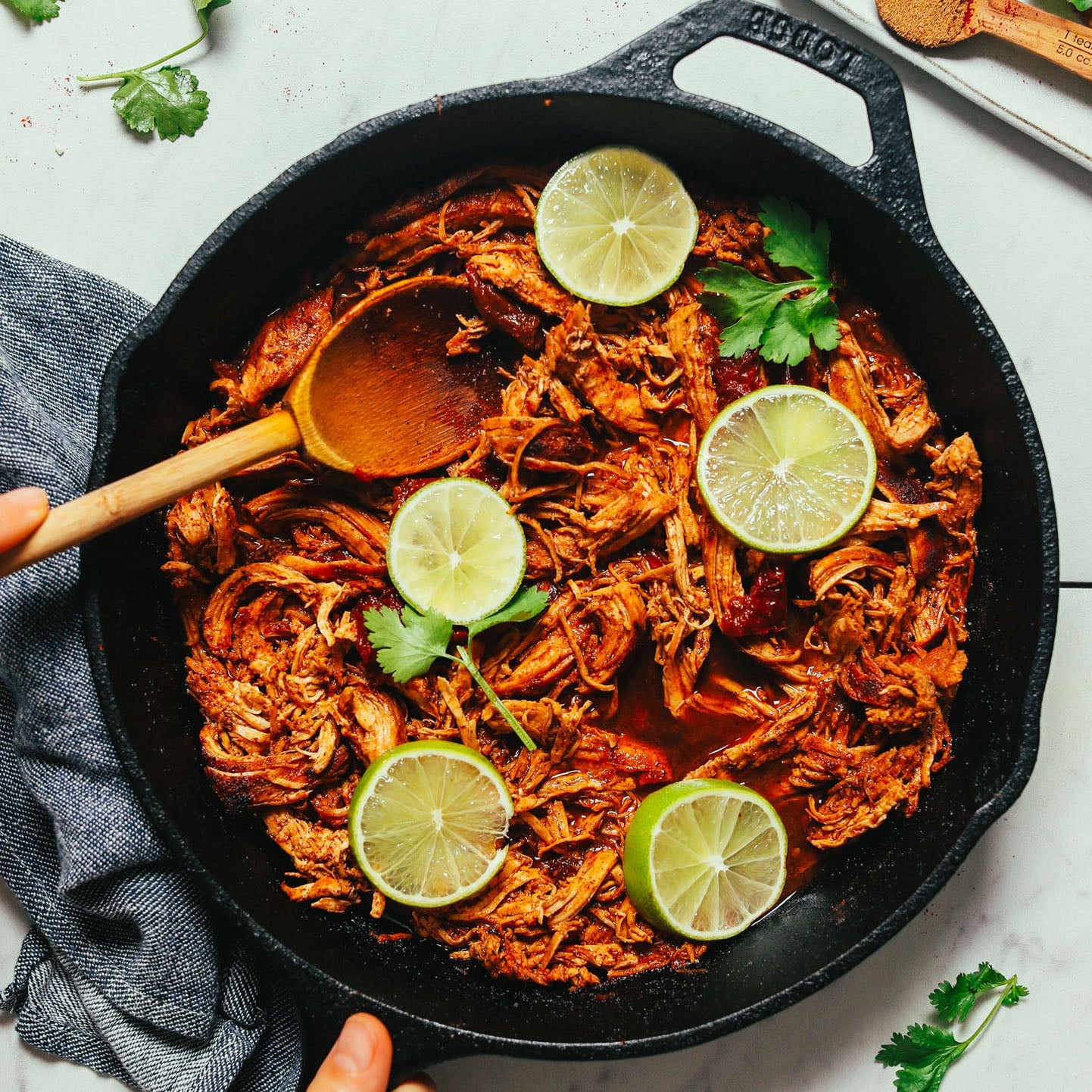 29 Best Shredded Chicken Recipes