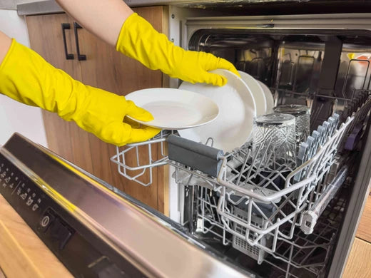 Best Dishwasher Cleaner For Mold 