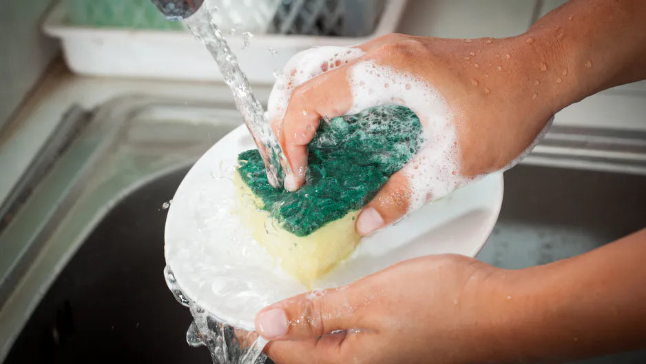 Best Dishwashing Sponge