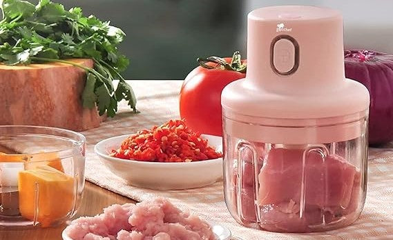 Best Garlic Chopper To Buy Online