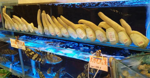 What Does Geoduck Taste Like? (Know How To Prepare)