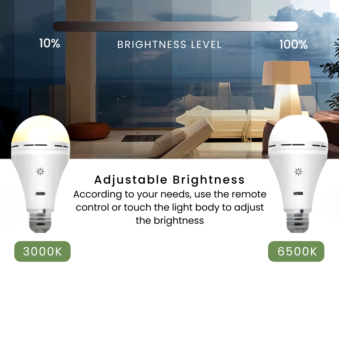 USB-C rechargable light bulb with adjustable brightness