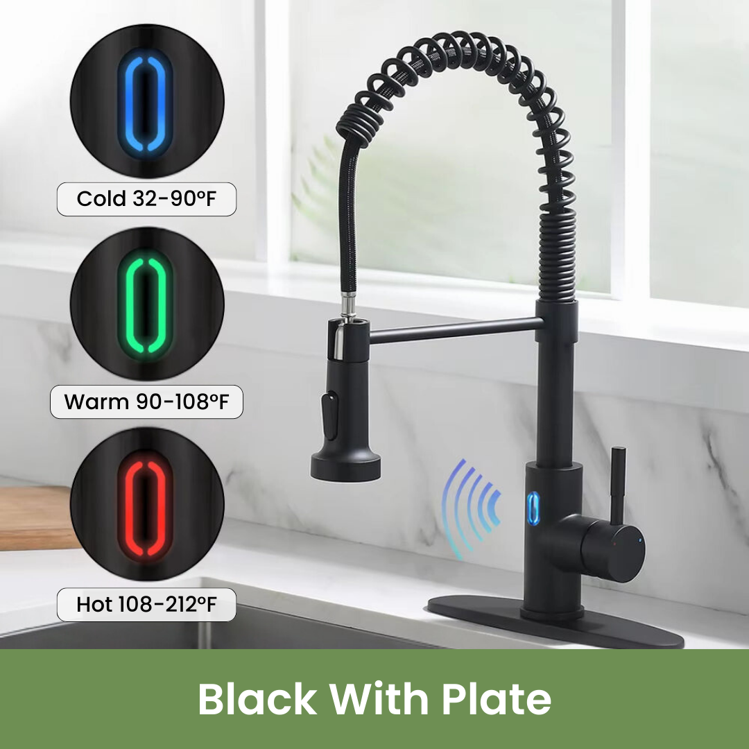 Hands-Free Kitchen Faucet, Black with Plate